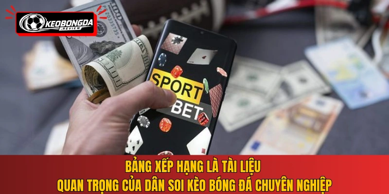 Bảng xếp hạng là tài liệu quan trọng của dân soi kèo bóng đá chuyên nghiệp