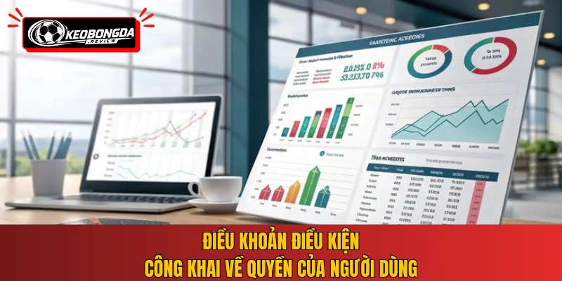 Điều khoản điều kiện công khai về quyền của người dùng