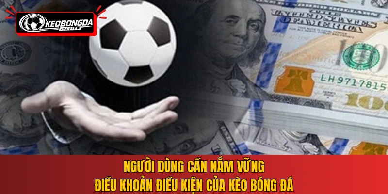 Người dùng cần nắm vững điều khoản điều kiện của Kèo Bóng Đá