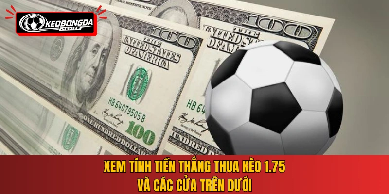 Xem tính tiền thắng thua kèo 1.75 và các cửa trên dưới