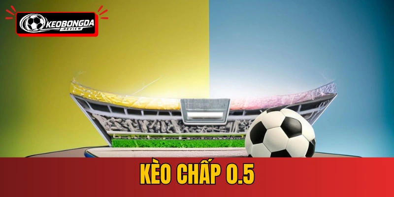 Kèo Chấp 0.5 - Phân Tích Và Cách Đọc Kèo Nửa Trái Chuẩn