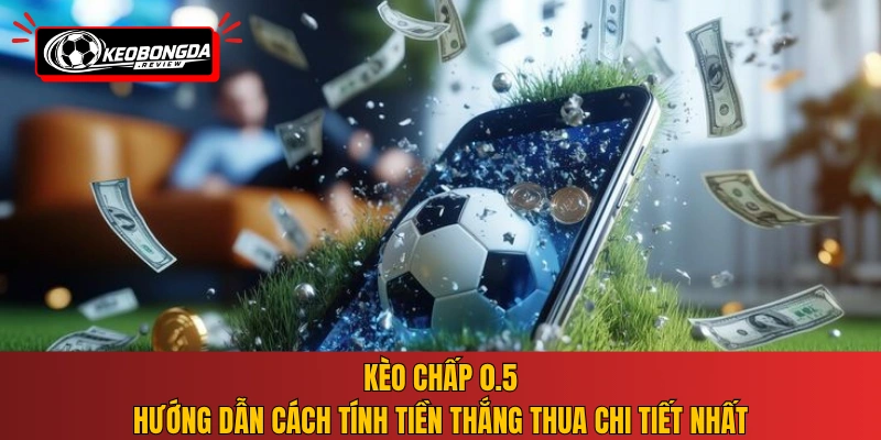 Kèo chấp 0.5 - Hướng dẫn cách tính tiền thắng thua chi tiết nhất