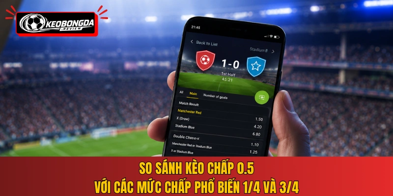 So sánh kèo chấp 0.5 với các mức chấp phổ biến 1/4 và 3/4