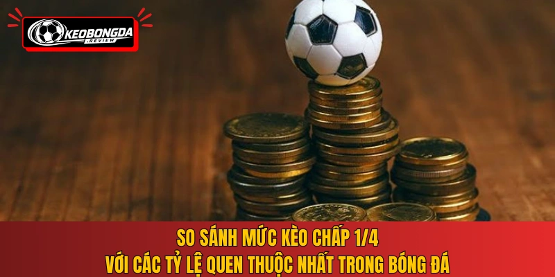 So sánh mức kèo chấp 1/4 với các tỷ lệ quen thuộc nhất trong bóng đá
