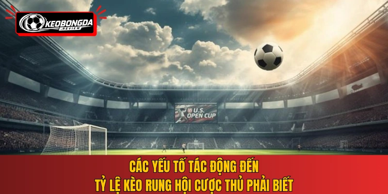 Các yếu tố tác động đến tỷ lệ kèo rung hội cược thủ phải biết