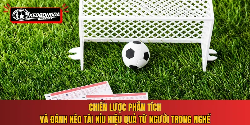 Chiến lược phân tích và đánh kèo tài xỉu hiệu quả từ người trong nghề