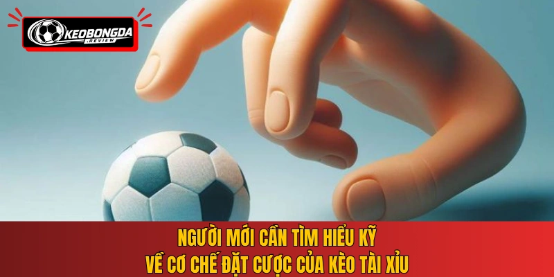 Người mới cần tìm hiểu kỹ về cơ chế đặt cược của kèo tài xỉu