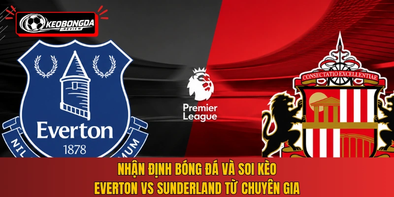 Nhận định bóng đá và soi kèo Everton vs Sunderland từ chuyên gia