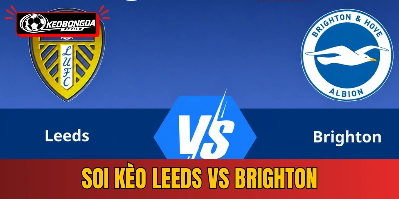 Soi Kèo Leeds vs Brighton | 21:00 17/05/2026