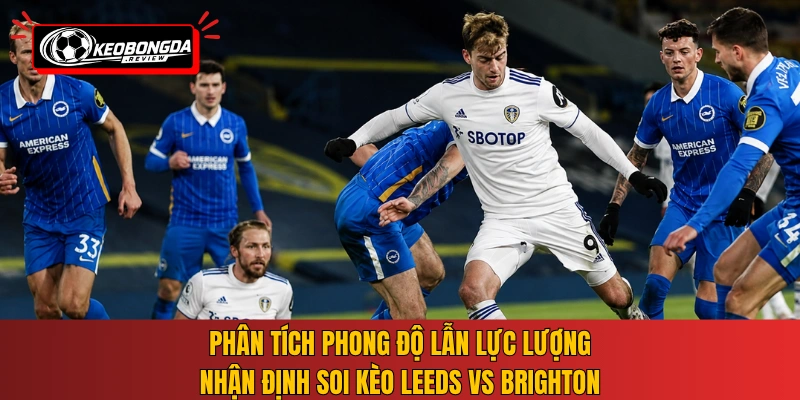 Phân tích phong độ lẫn lực lượng nhận định soi kèo Leeds vs Brighton