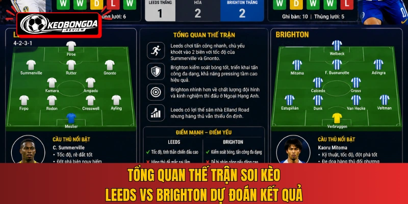 Tổng quan thế trận soi kèo Leeds vs Brighton dự đoán kết quả